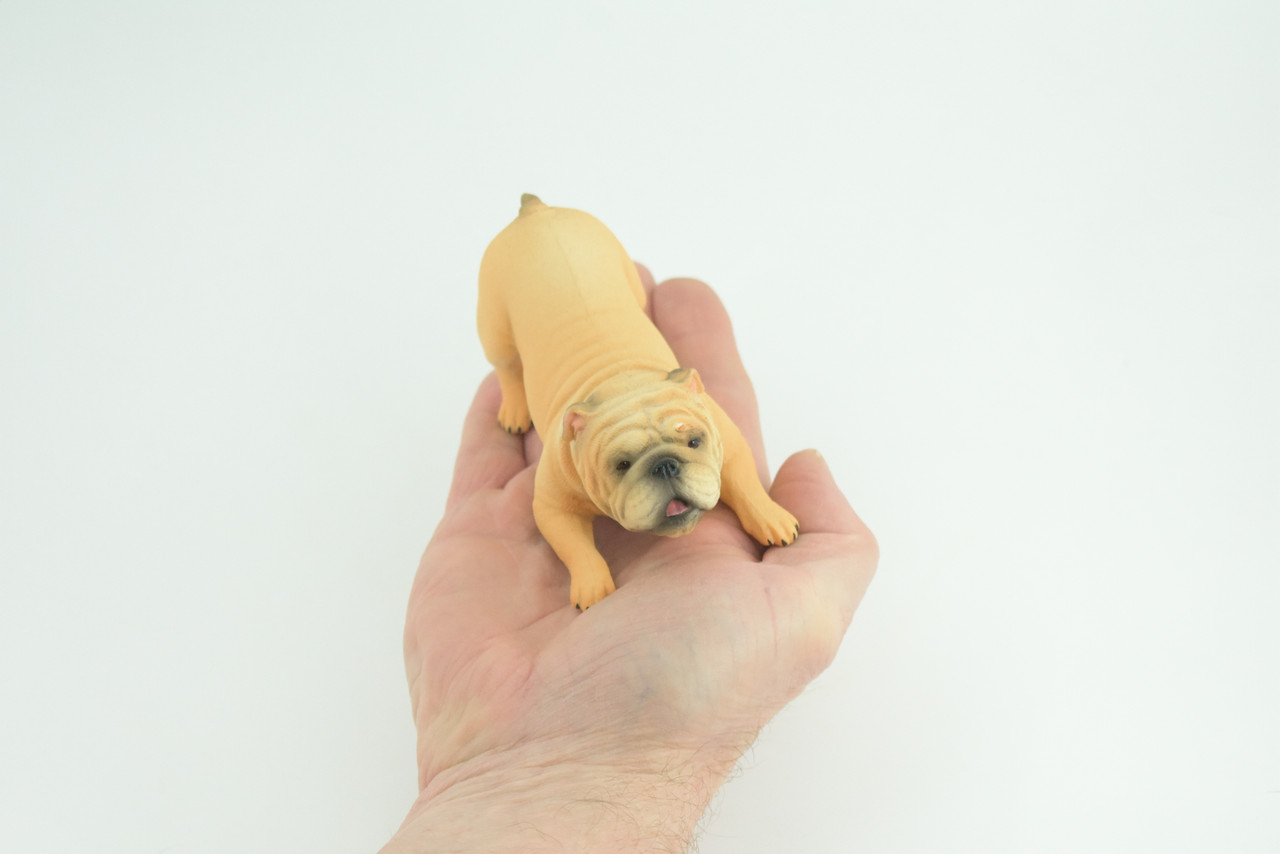English Bulldog, Museum Quality, Hand Painted, Educational, Rubber Canine, Realistic, K9, Figure, Toys, Kids, Gift, 4 Inches. CH761 BB191