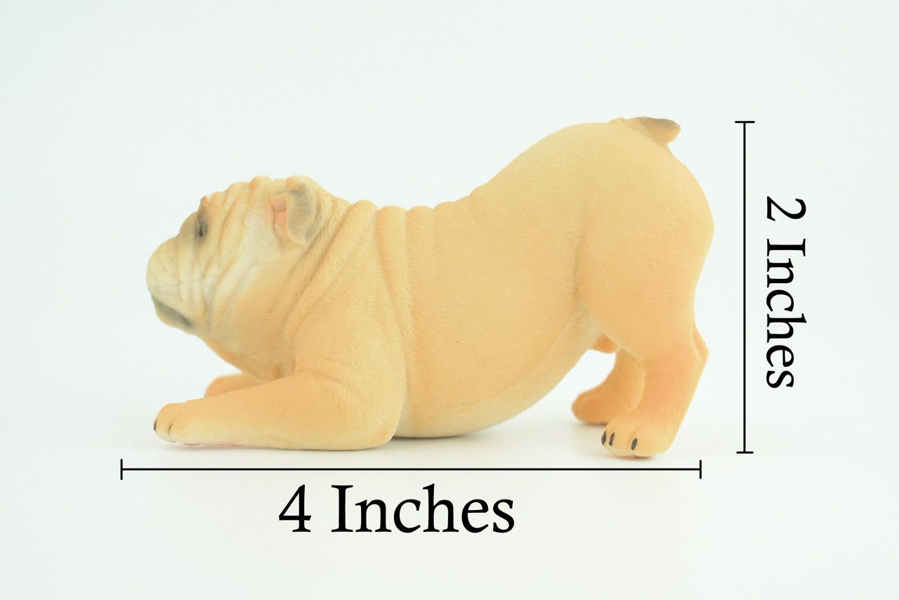 English Bulldog, Museum Quality, Hand Painted, Educational, Rubber Canine, Realistic, K9, Figure, Toys, Kids, Gift, 4 Inches. CH761 BB191