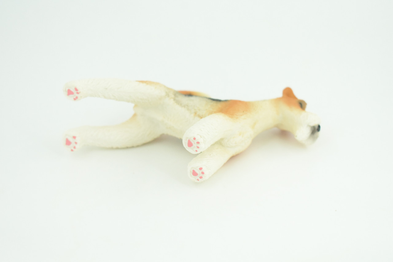 Fox Terrier Dog, Museum Quality, Hand Painted, Educational, Rubber Canine, Realistic, K9, Figure, Toys, Kids, Gift,   4 1/2 Inches.  CH764 BB191