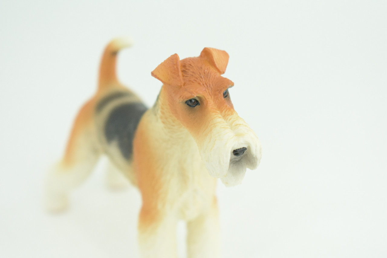 Fox Terrier Dog, Museum Quality, Hand Painted, Educational, Rubber Canine, Realistic, K9, Figure, Toys, Kids, Gift,   4 1/2 Inches.  CH764 BB191