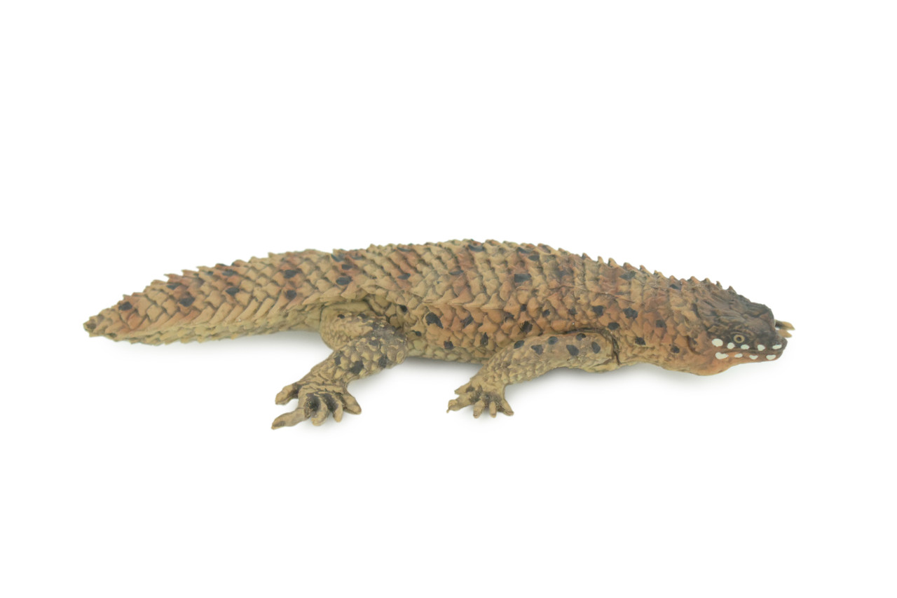 Pygmy Spiny-tailed Skink, Egernia depressa, Museum Quality, Educational, Hand Painted, Rubber Reptile, Diorama, Toy, Kids, Gift, 5 Inches. CH766 BB192