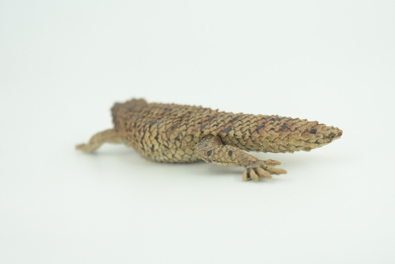 Pygmy Spiny-tailed Skink, Egernia depressa, Museum Quality, Educational, Hand Painted, Rubber Reptile, Diorama, Toy, Kids, Gift,  5 Inches.  CH766 BB192