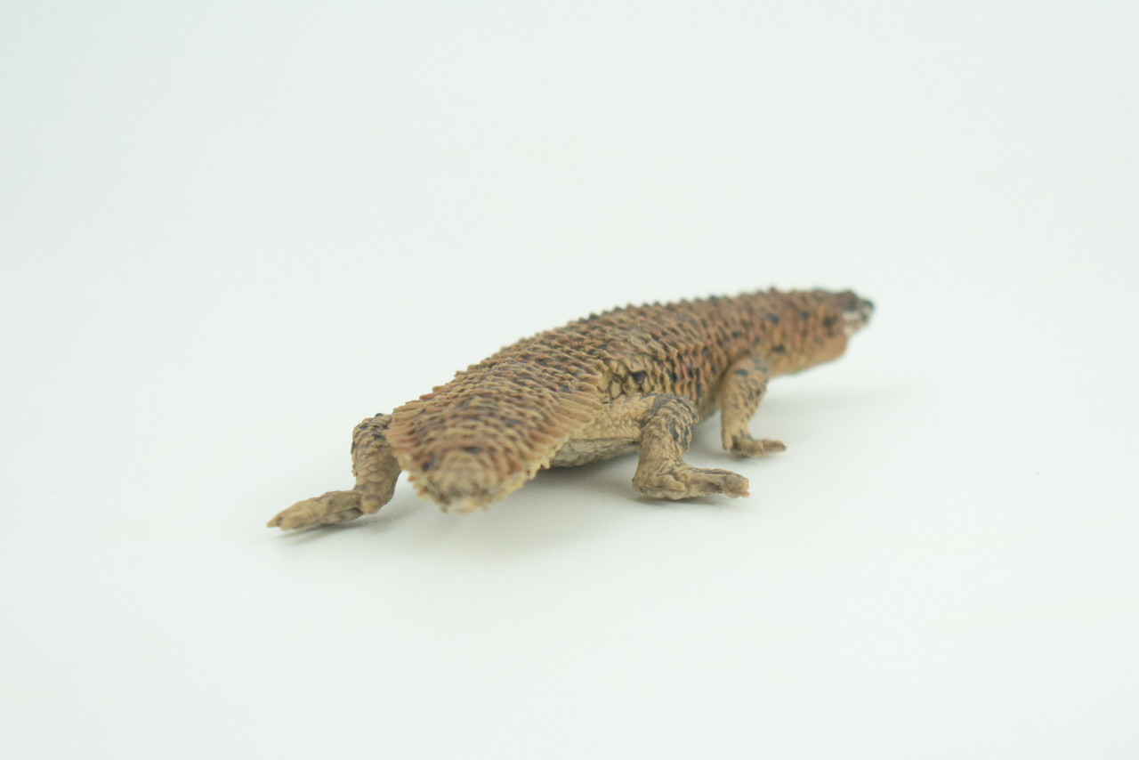 Pygmy Spiny-tailed Skink, Egernia depressa, Museum Quality, Educational, Hand Painted, Rubber Reptile, Diorama, Toy, Kids, Gift,  5 Inches.  CH766 BB192