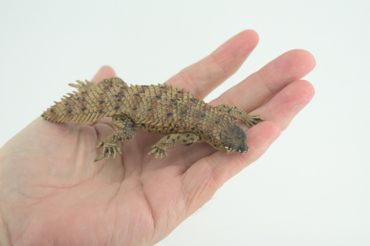 Pygmy Spiny-tailed Skink, Egernia depressa, Museum Quality, Educational, Hand Painted, Rubber Reptile, Diorama, Toy, Kids, Gift, 5 Inches. CH766 BB192
