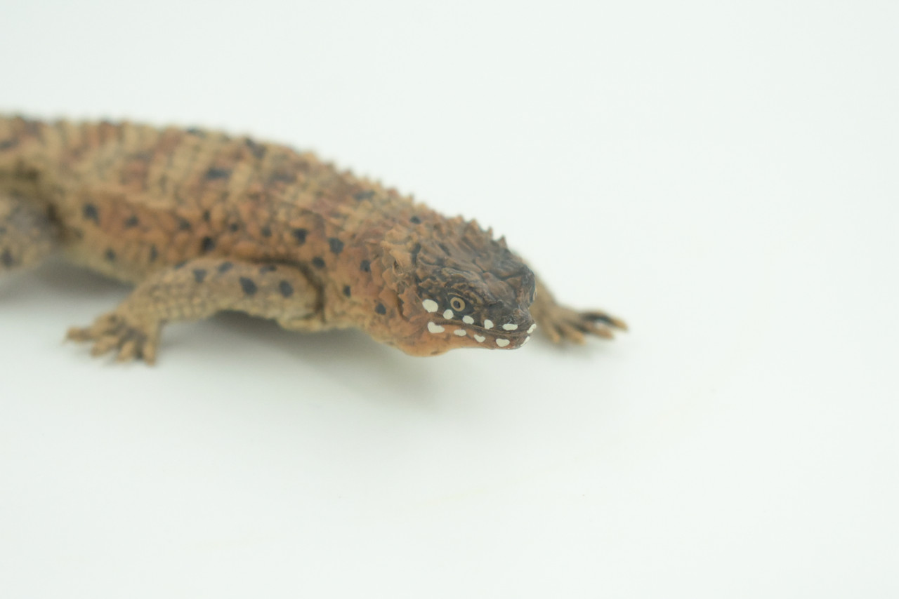 Pygmy Spiny-tailed Skink, Egernia depressa, Museum Quality, Educational, Hand Painted, Rubber Reptile, Diorama, Toy, Kids, Gift,  5 Inches.  CH766 BB192