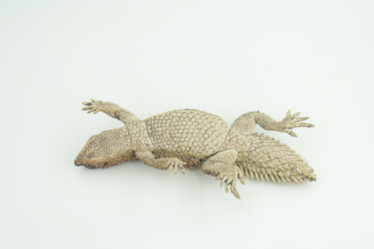 Pygmy Spiny-tailed Skink, Egernia depressa, Museum Quality, Educational, Hand Painted, Rubber Reptile, Diorama, Toy, Kids, Gift,  5 Inches.  CH766 BB192