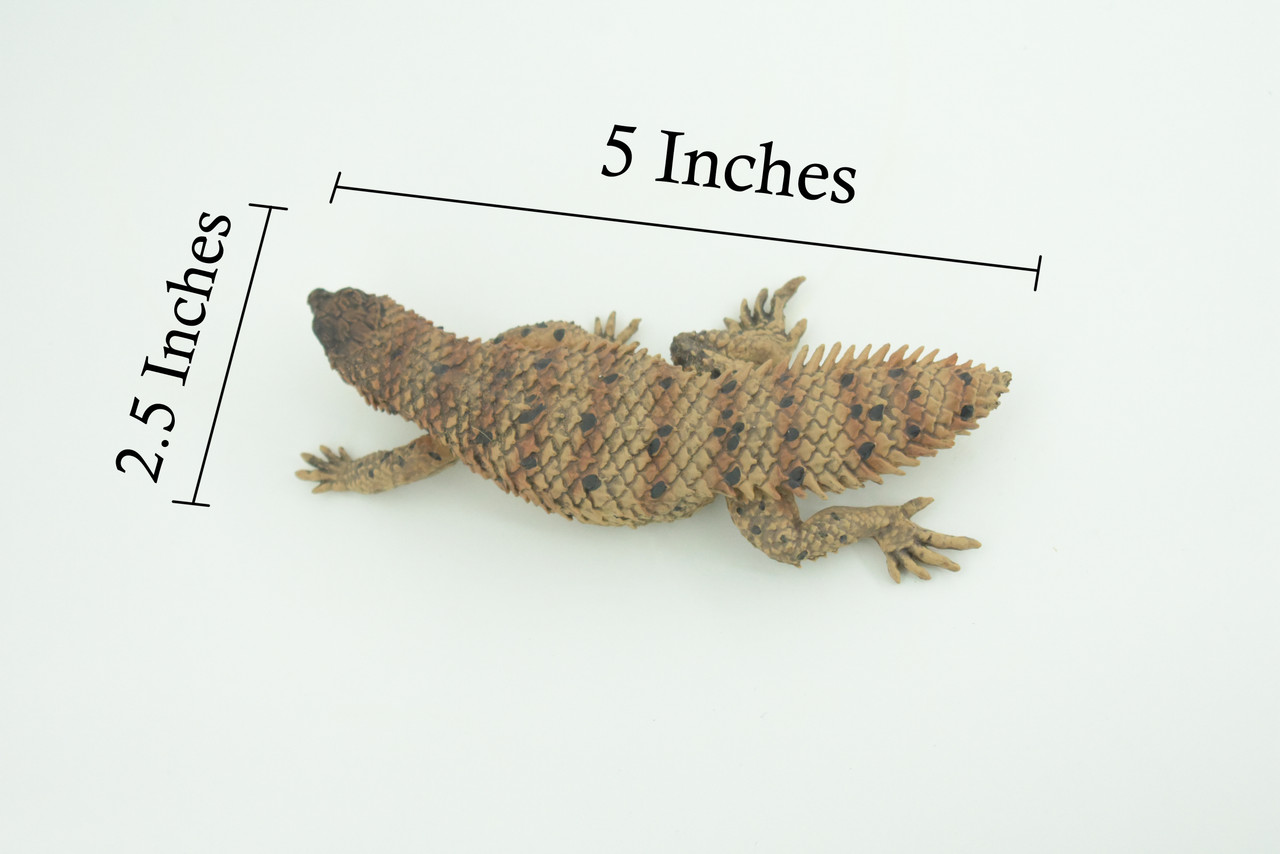 Pygmy Spiny-tailed Skink, Egernia depressa, Museum Quality, Educational, Hand Painted, Rubber Reptile, Diorama, Toy, Kids, Gift, 5 Inches. CH766 BB192