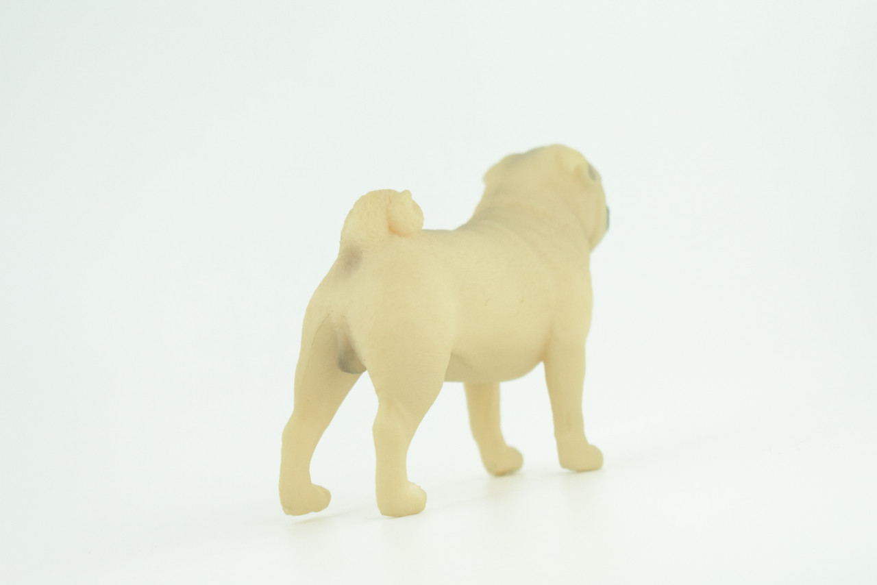 Pug Dog, Male, Museum Quality, Hand Painted, Educational, Rubber Canine, Realistic, K9, Figure, Toys, Kids, Gift,   3 Inches.  CH768 BB192