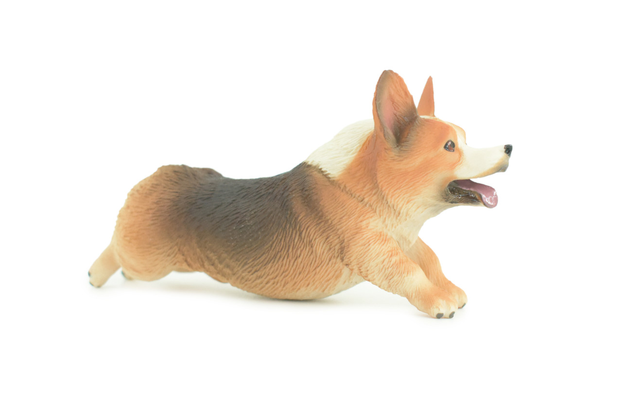 Corgi Dog, Pembroke Running, Museum Quality, Hand Painted, Educational, Rubber Canine, Realistic, K9, Toys, Kids, Gift, 5 Inches. CH772 BB193