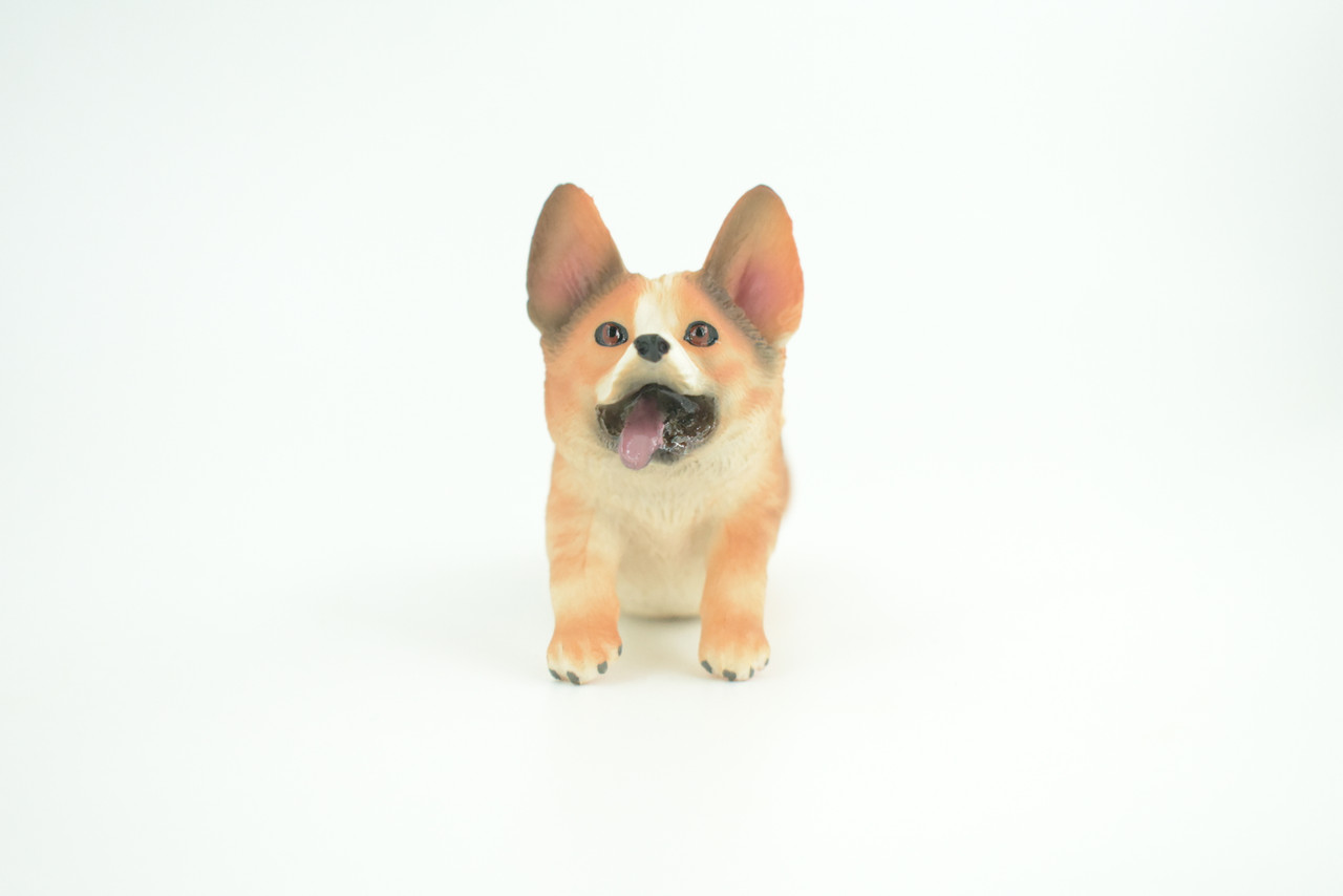 Corgi Dog, Pembroke Running, Museum Quality, Hand Painted, Educational, Rubber Canine, Realistic, K9, Toys, Kids, Gift,   5 Inches.  CH772 BB193