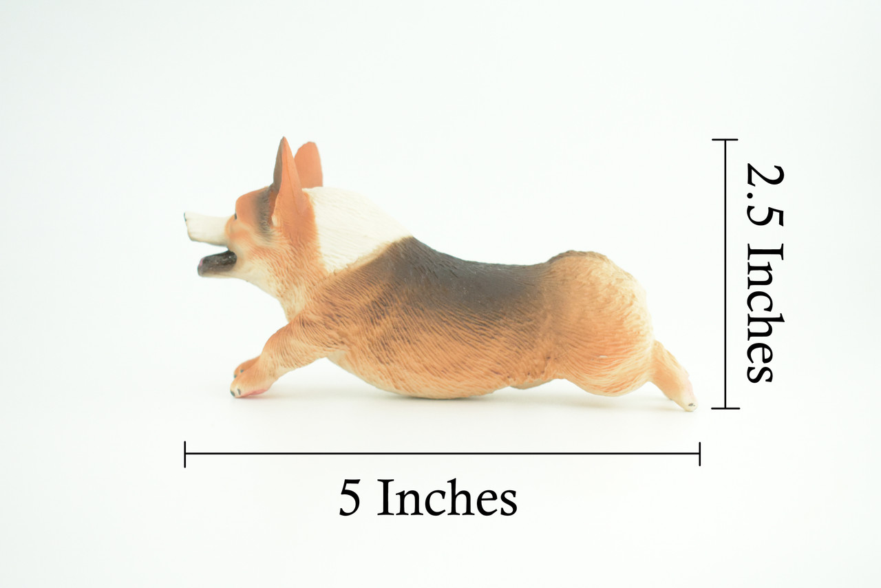 Corgi Dog, Pembroke Running, Museum Quality, Hand Painted, Educational, Rubber Canine, Realistic, K9, Toys, Kids, Gift, 5 Inches. CH772 BB193