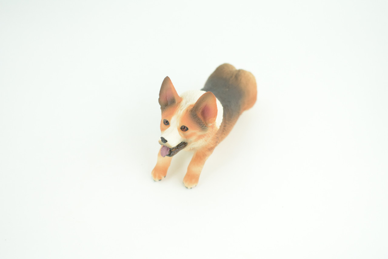 Corgi Dog, Pembroke Running, Museum Quality, Hand Painted, Educational, Rubber Canine, Realistic, K9, Toys, Kids, Gift,   5 Inches.  CH772 BB193