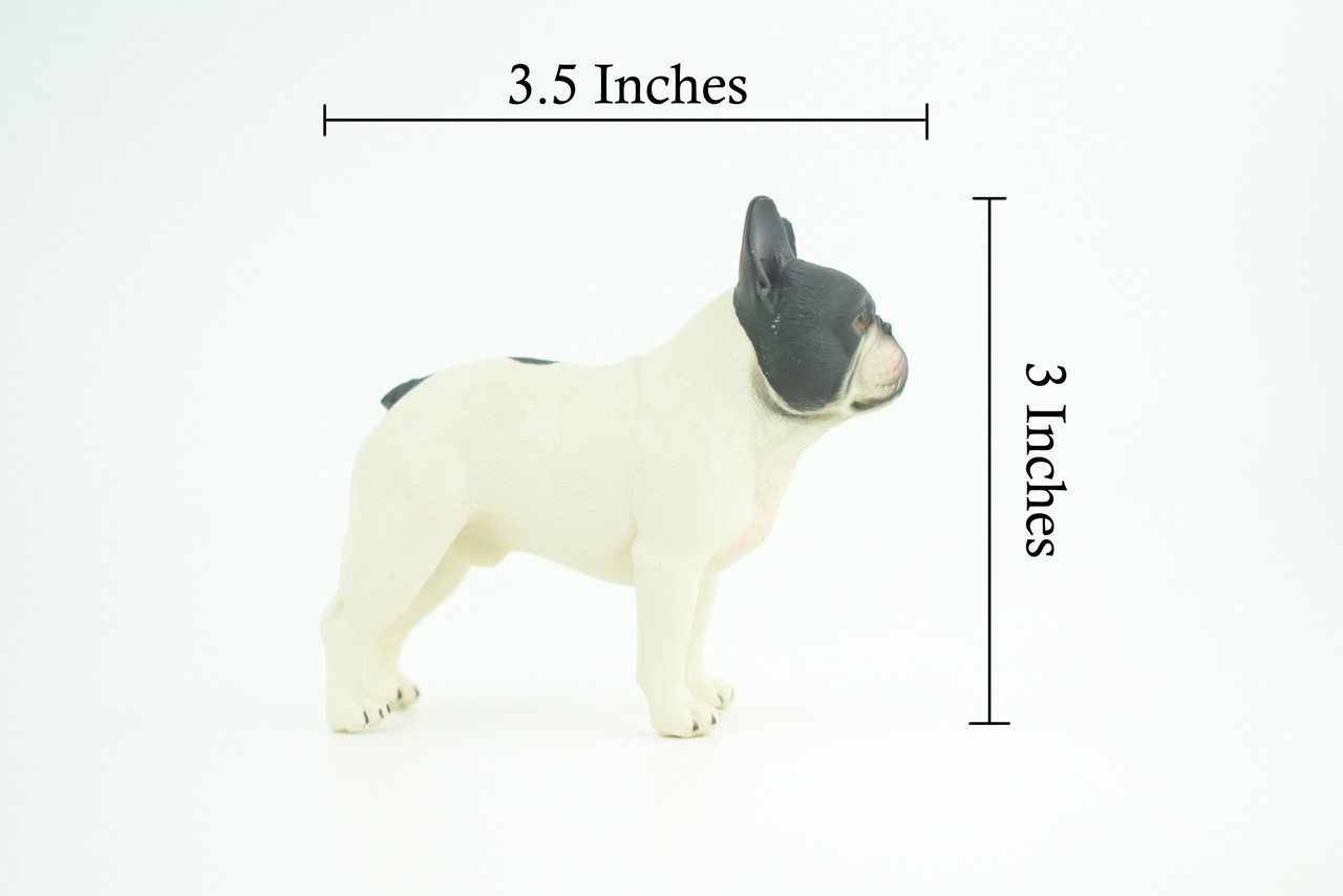 French Bulldog, Museum Quality, Hand Painted, Educational, Rubber Canine, Realistic, K9, Toys, Kids, Gift, 3 1/2 Inches. CH773 BB193