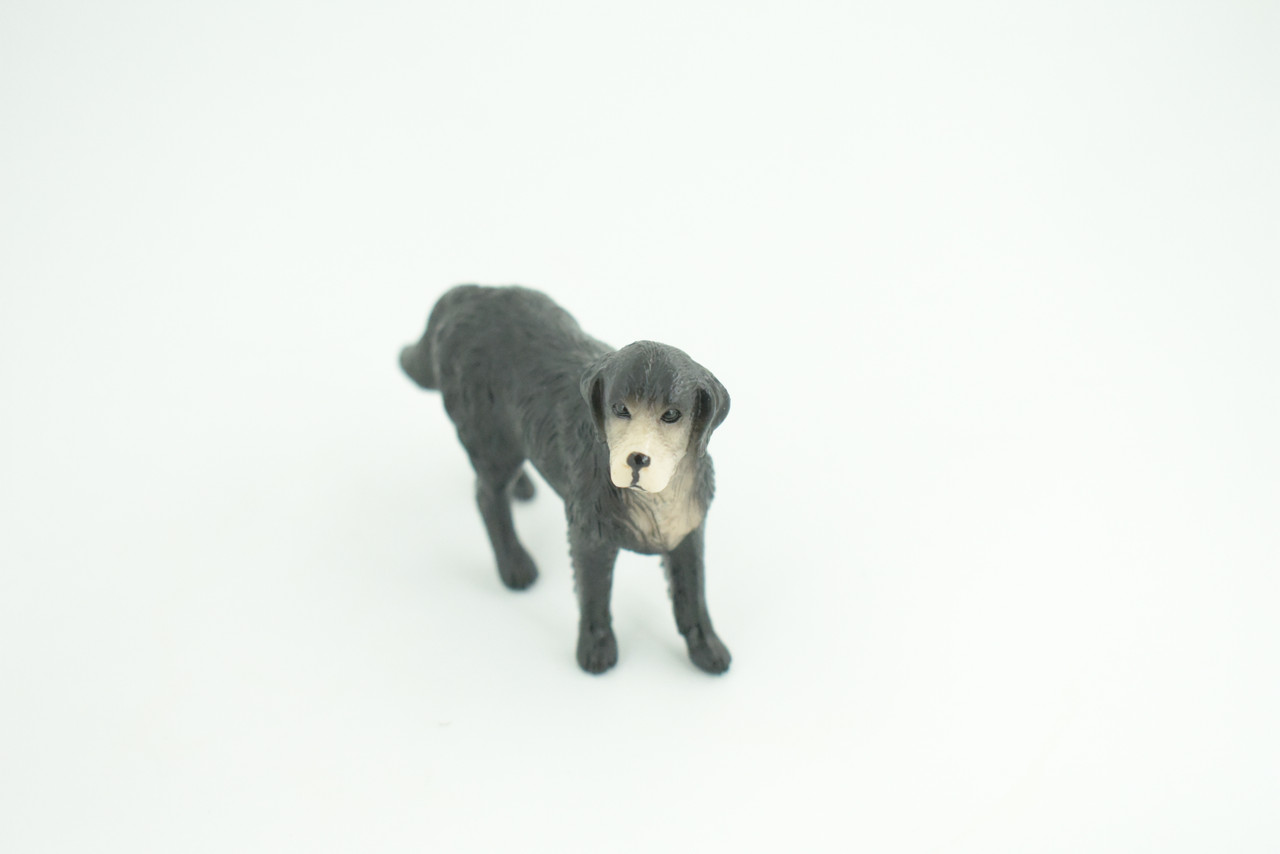 Labrador Dog, Older Male, Museum Quality, Hand Painted, Educational, Rubber Canine, Realistic, K9, Toys, Kids, Gift,   4 Inches.  CH774 BB193