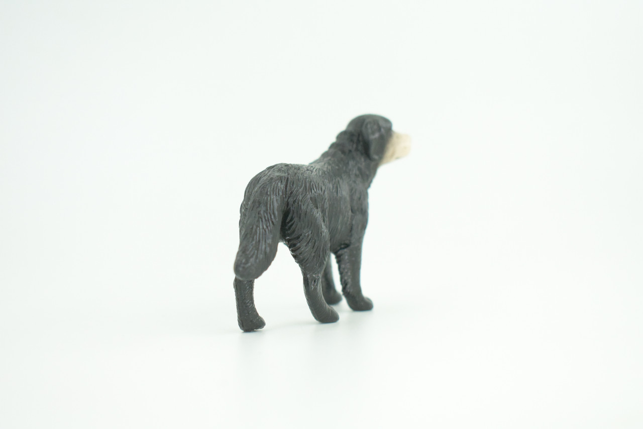 Labrador Dog, Older Male, Museum Quality, Hand Painted, Educational, Rubber Canine, Realistic, K9, Toys, Kids, Gift,   4 Inches.  CH774 BB193