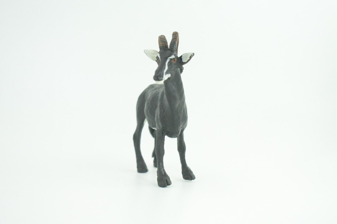 Sable Antelope, Museum Quality, Educational, Hand Painted, Rubber Animal, Realistic, Diorama, Toy, Kids, Gift,  3 1/2 Inches. CH775 BB193