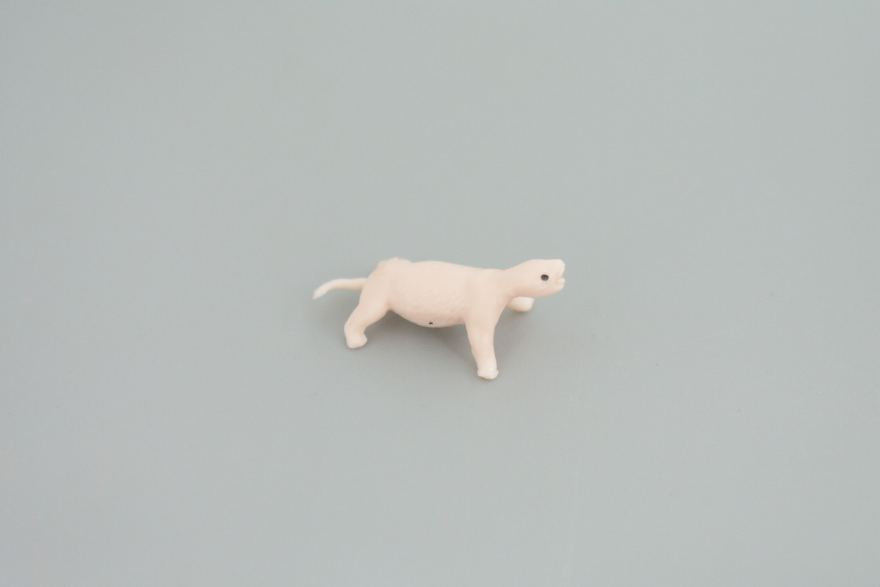 Polar Bear Life Cycle, 5 Piece Set, Museum Quality, Hand Painted, Educational, Rubber, Realistic, Diorama, Toys, Kids, Gift,   4 Inches.  CH777 BB182