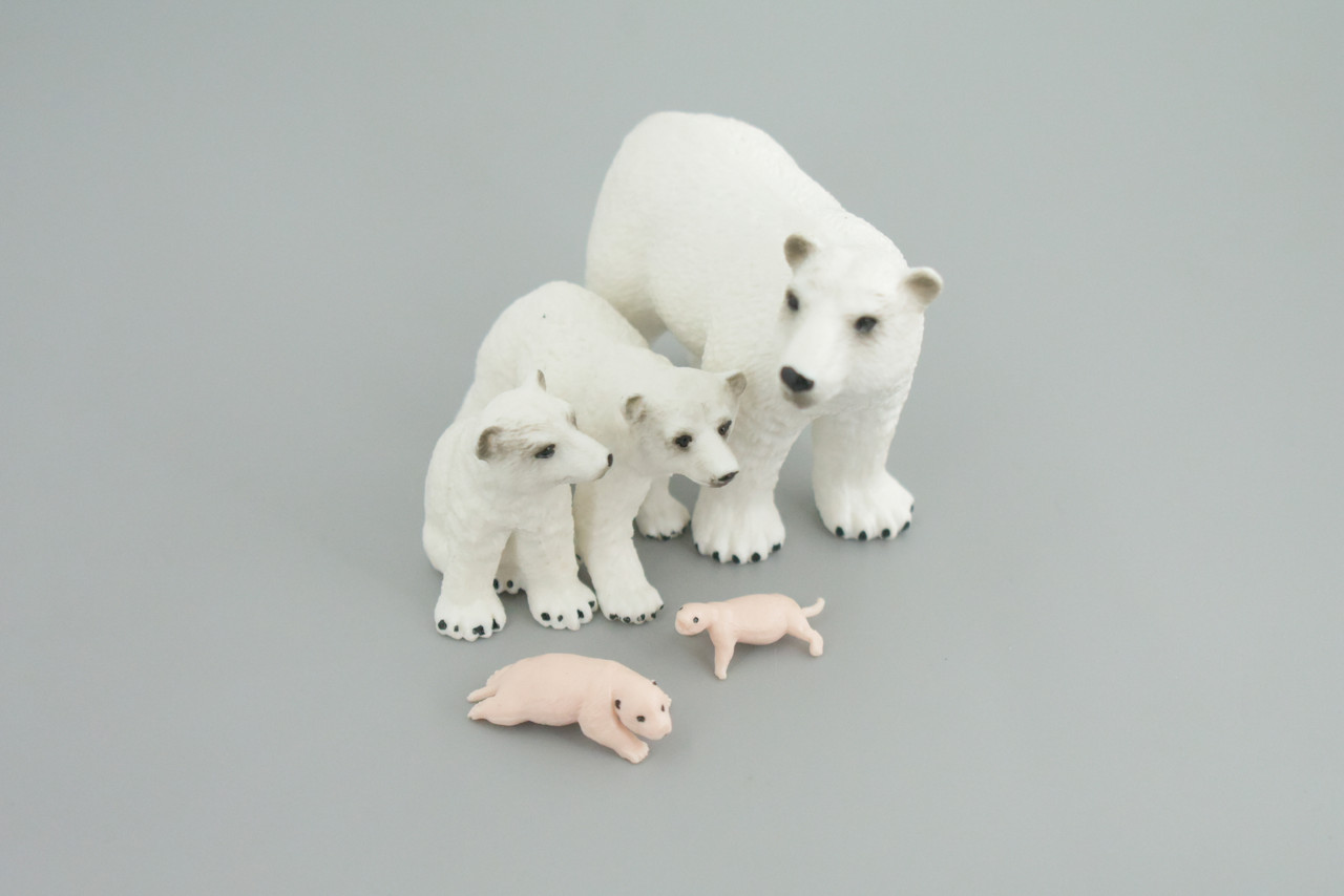 Polar Bear Life Cycle, 5 Piece Set, Museum Quality, Hand Painted, Educational, Rubber, Realistic, Diorama, Toys, Kids, Gift,   4 Inches.  CH777 BB182