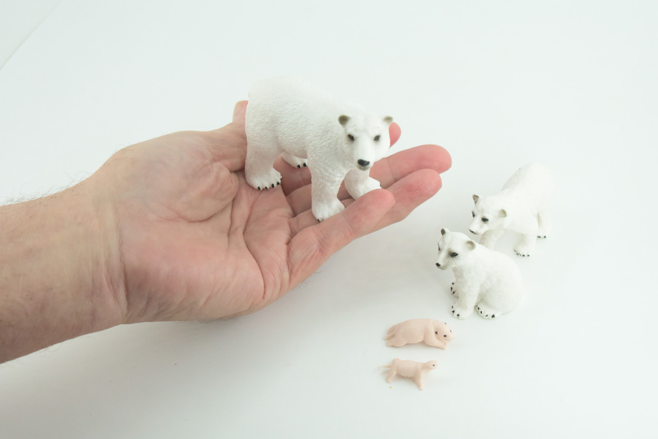 Polar Bear Life Cycle, 5 Piece Set, Museum Quality, Hand Painted, Educational, Rubber, Realistic, Diorama, Toys, Kids, Gift, 4 Inches. CH777 BB182