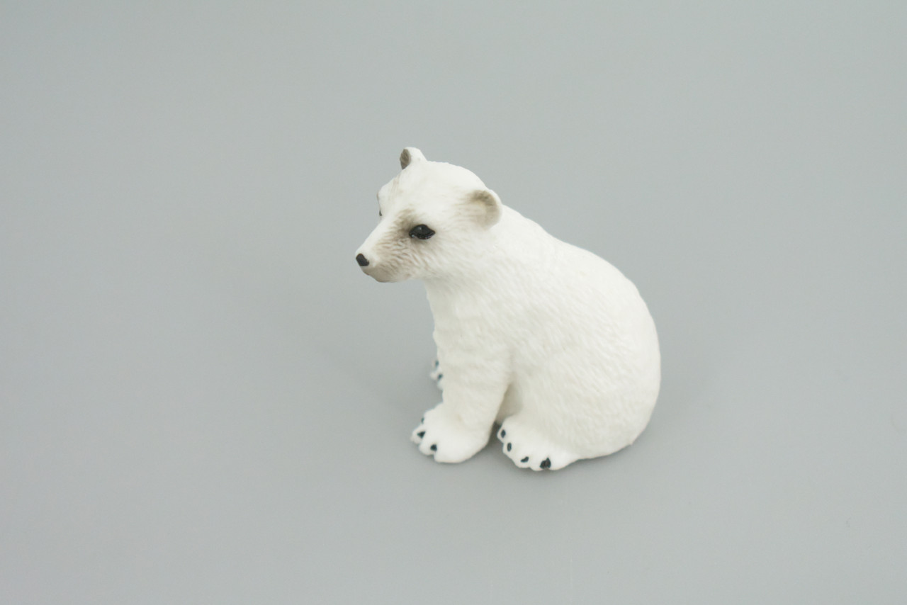 Polar Bear Life Cycle, 5 Piece Set, Museum Quality, Hand Painted, Educational, Rubber, Realistic, Diorama, Toys, Kids, Gift,   4 Inches.  CH777 BB182