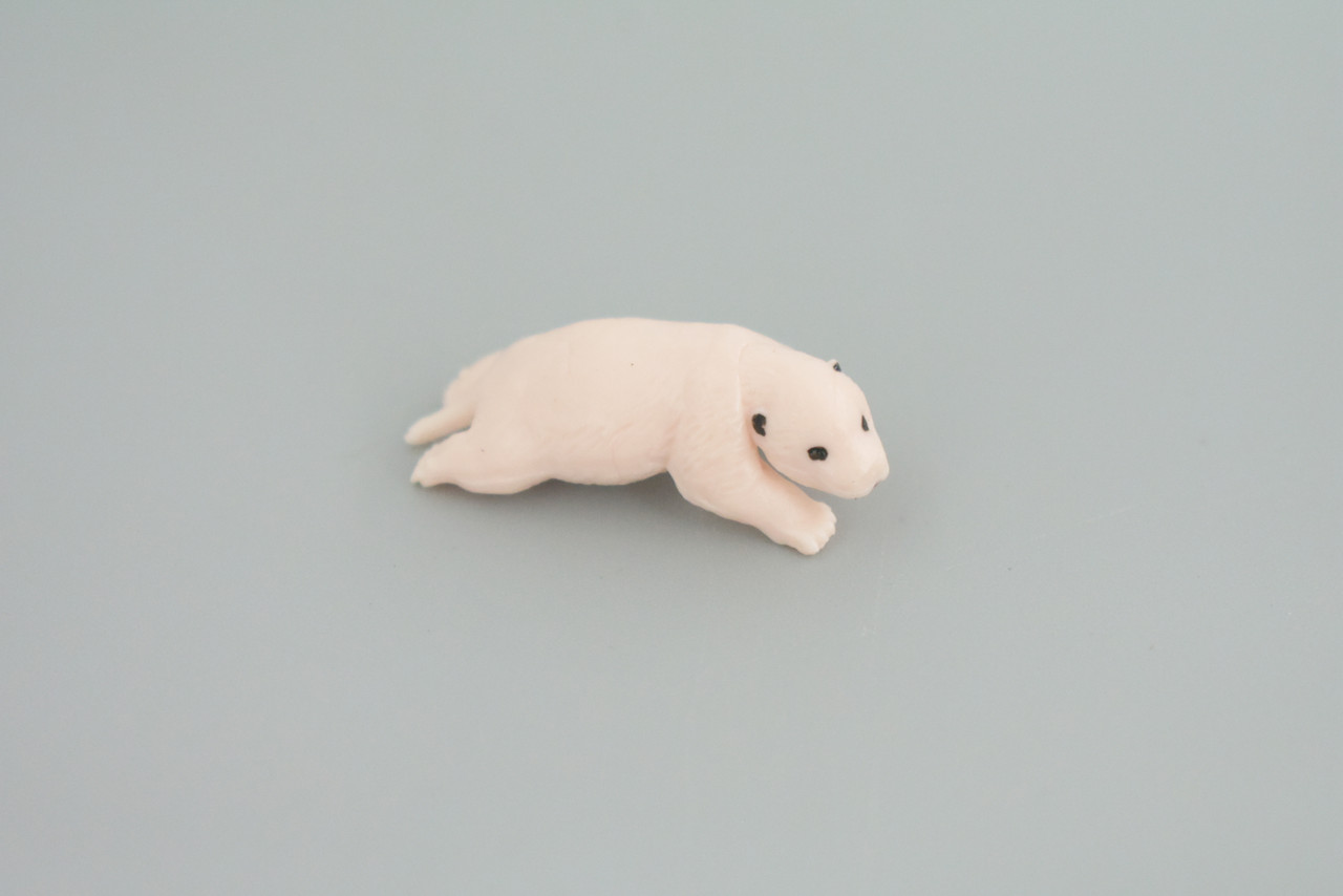 Polar Bear Life Cycle, 5 Piece Set, Museum Quality, Hand Painted, Educational, Rubber, Realistic, Diorama, Toys, Kids, Gift,   4 Inches.  CH777 BB182