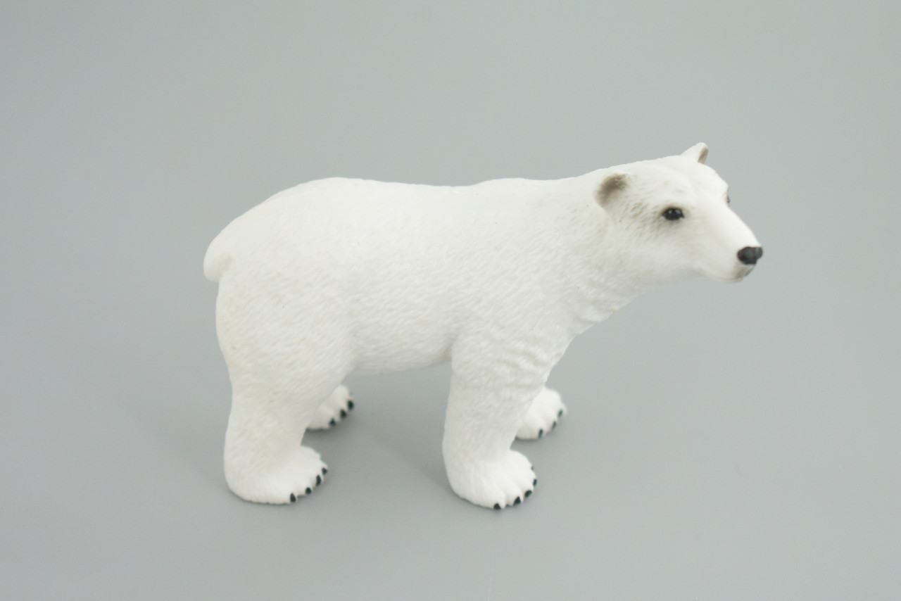 Polar Bear Life Cycle, 5 Piece Set, Museum Quality, Hand Painted, Educational, Rubber, Realistic, Diorama, Toys, Kids, Gift,   4 Inches.  CH777 BB182