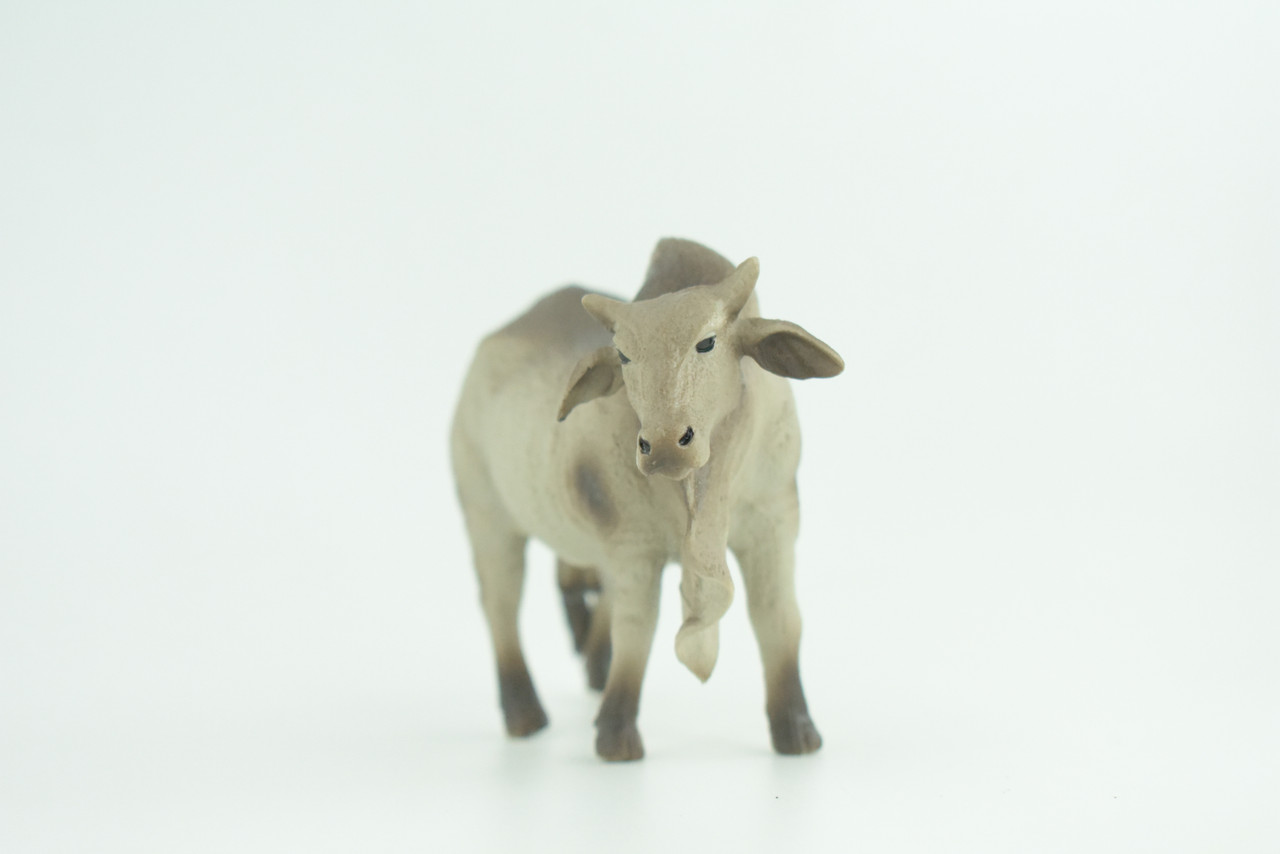 Brahman Bull, Zebuine-taurine, Museum Quality, Educational, Hand Painted, Rubber Cattle, Realistic, Diorama, Toy, Kids, Gift, 5 1/2 Inches.  CH779 BB182
