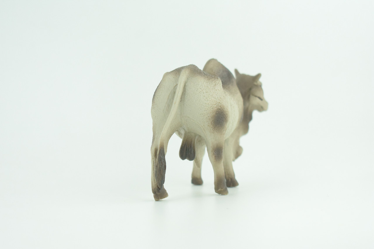 Brahman Bull, Zebuine-taurine, Museum Quality, Educational, Hand Painted, Rubber Cattle, Realistic, Diorama, Toy, Kids, Gift, 5 1/2 Inches.  CH779 BB182