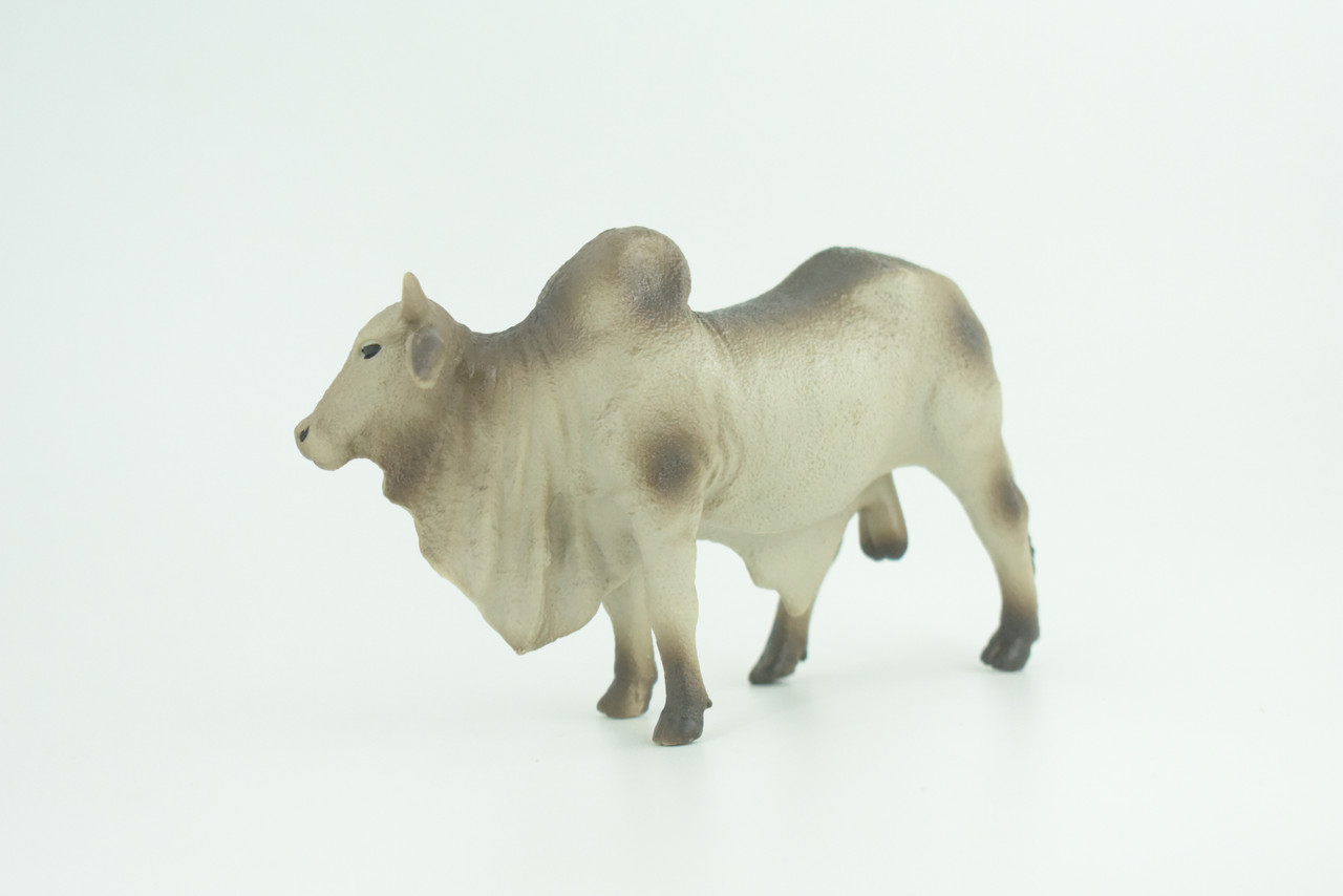 Brahman Bull, Zebuine-taurine, Museum Quality, Educational, Hand Painted, Rubber Cattle, Realistic, Diorama, Toy, Kids, Gift, 5 1/2 Inches.  CH779 BB182