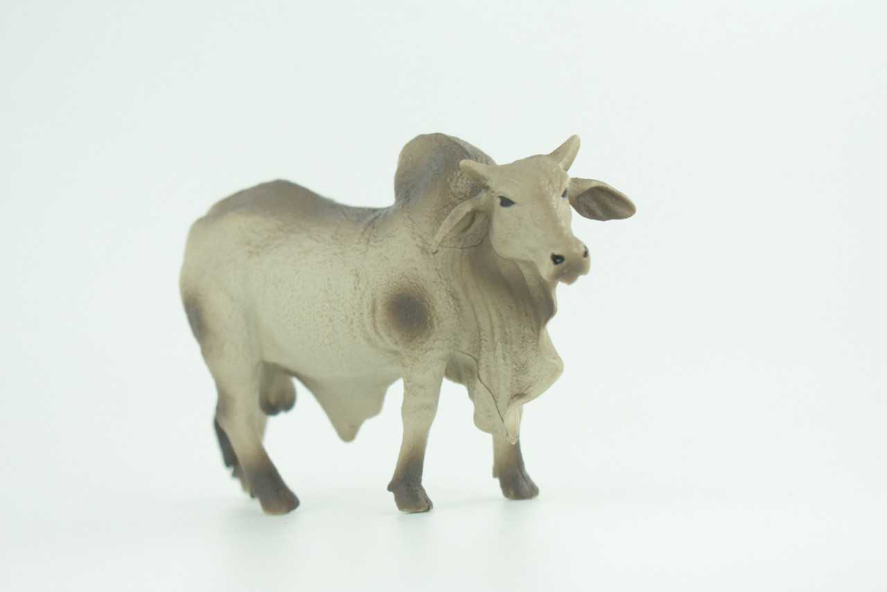 Brahman Bull, Zebuine-taurine, Museum Quality, Educational, Hand Painted, Rubber Cattle, Realistic, Diorama, Toy, Kids, Gift, 5 1/2 Inches.  CH779 BB182