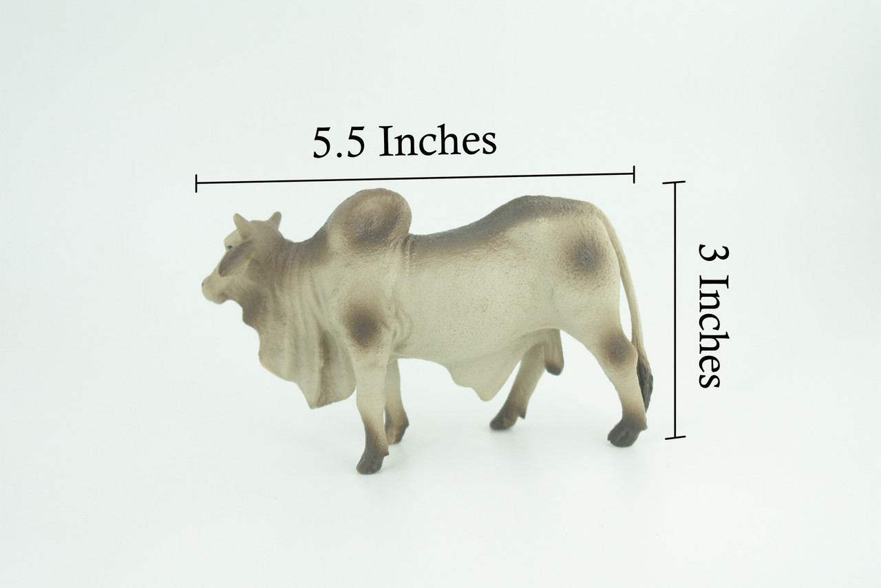 Brahman Bull, Zebuine-taurine, Museum Quality, Educational, Hand Painted, Rubber Cattle, Realistic, Diorama, Toy, Kids, Gift, 5 1/2 Inches. CH779 BB182