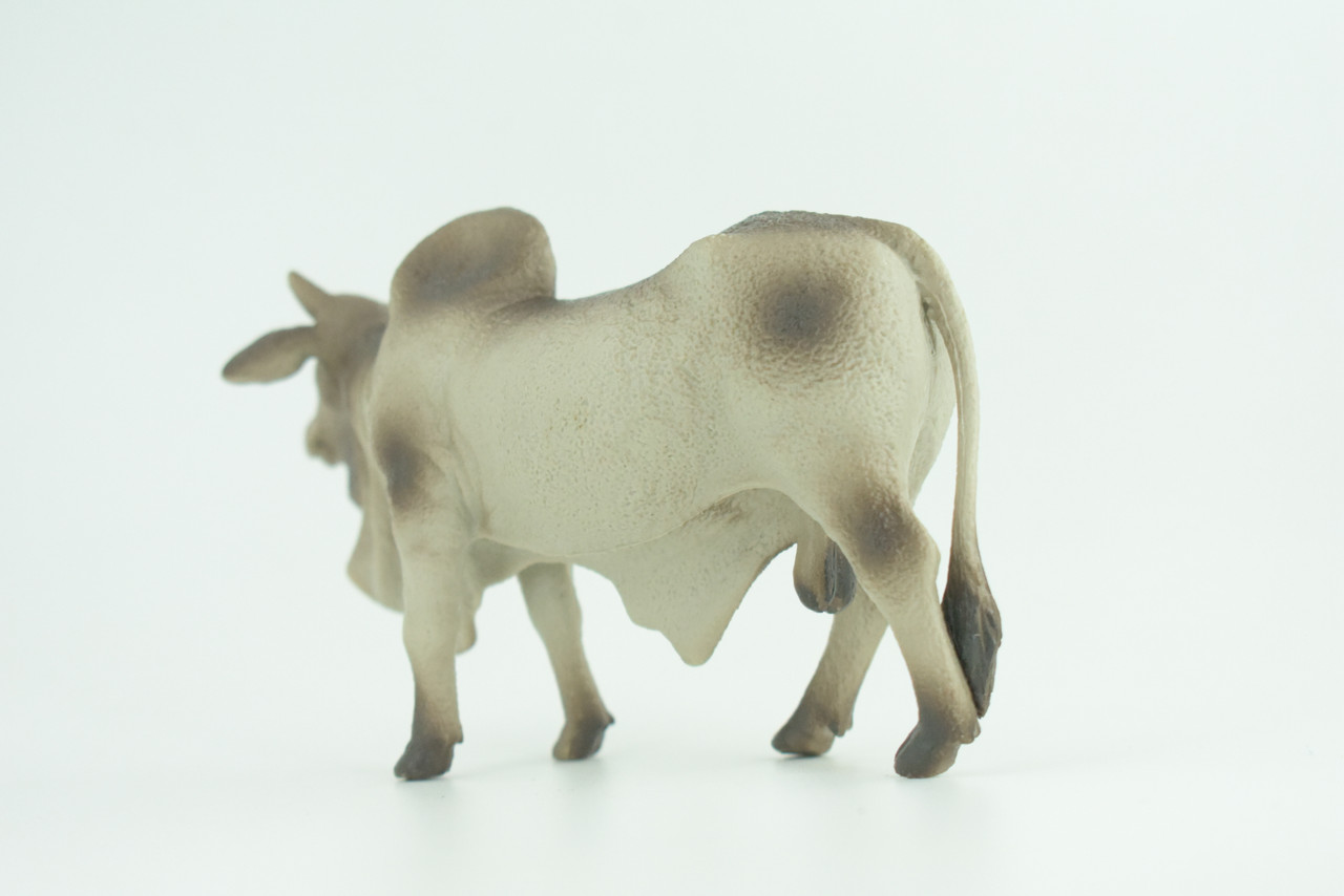 Brahman Bull, Zebuine-taurine, Museum Quality, Educational, Hand Painted, Rubber Cattle, Realistic, Diorama, Toy, Kids, Gift, 5 1/2 Inches.  CH779 BB182