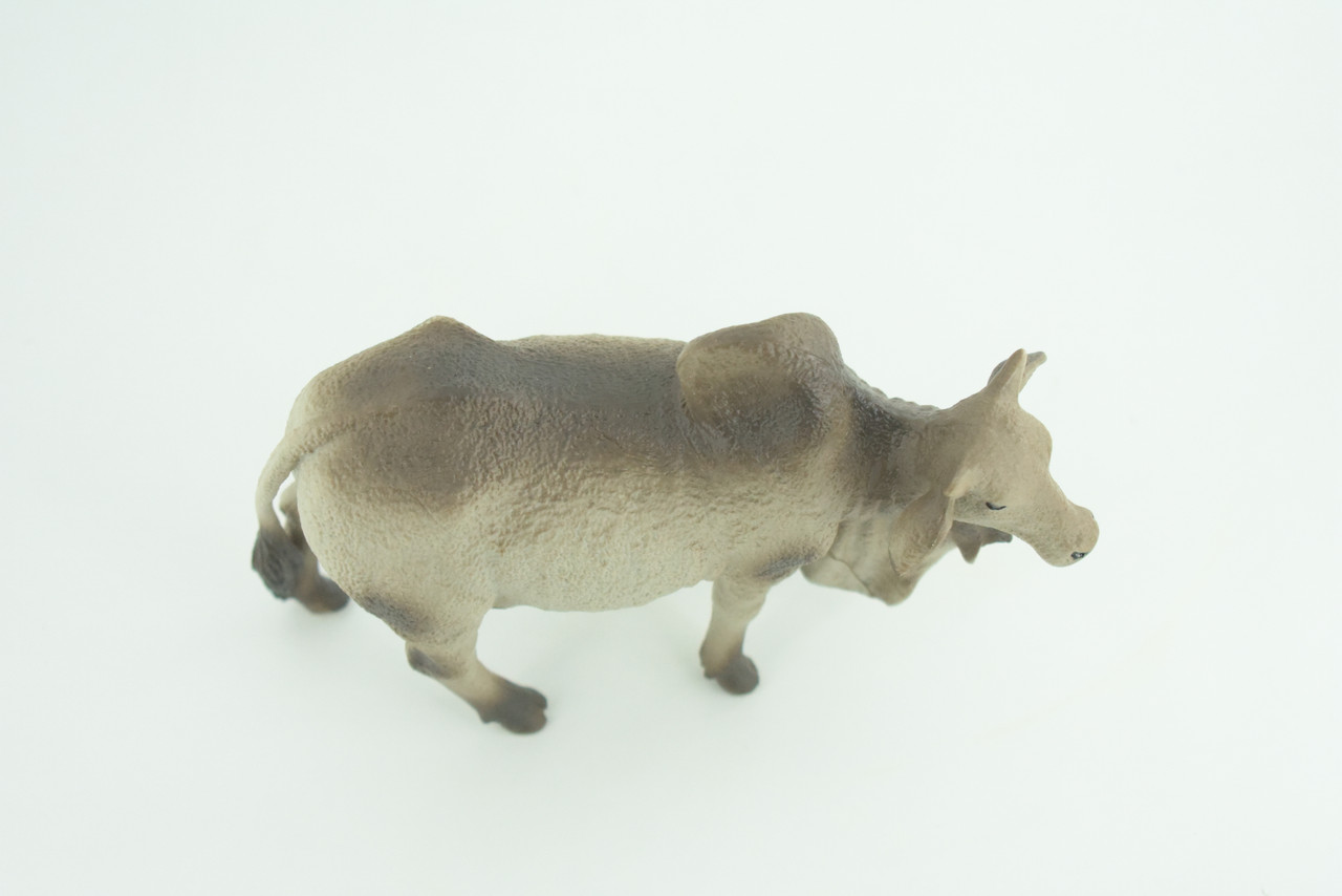 Brahman Bull, Zebuine-taurine, Museum Quality, Educational, Hand Painted, Rubber Cattle, Realistic, Diorama, Toy, Kids, Gift, 5 1/2 Inches.  CH779 BB182