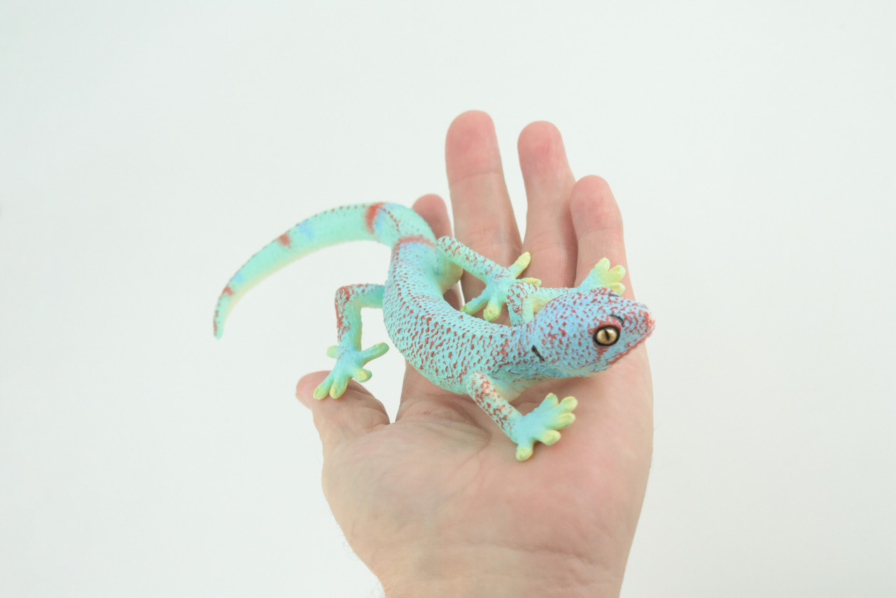 Tokay Gecko, Museum Quality, Educational, Hand Painted, Rubber Lizard, Realistic Reptile, Diorama, Toy, Kids, Gift, 8 Inches. CH780 BB182