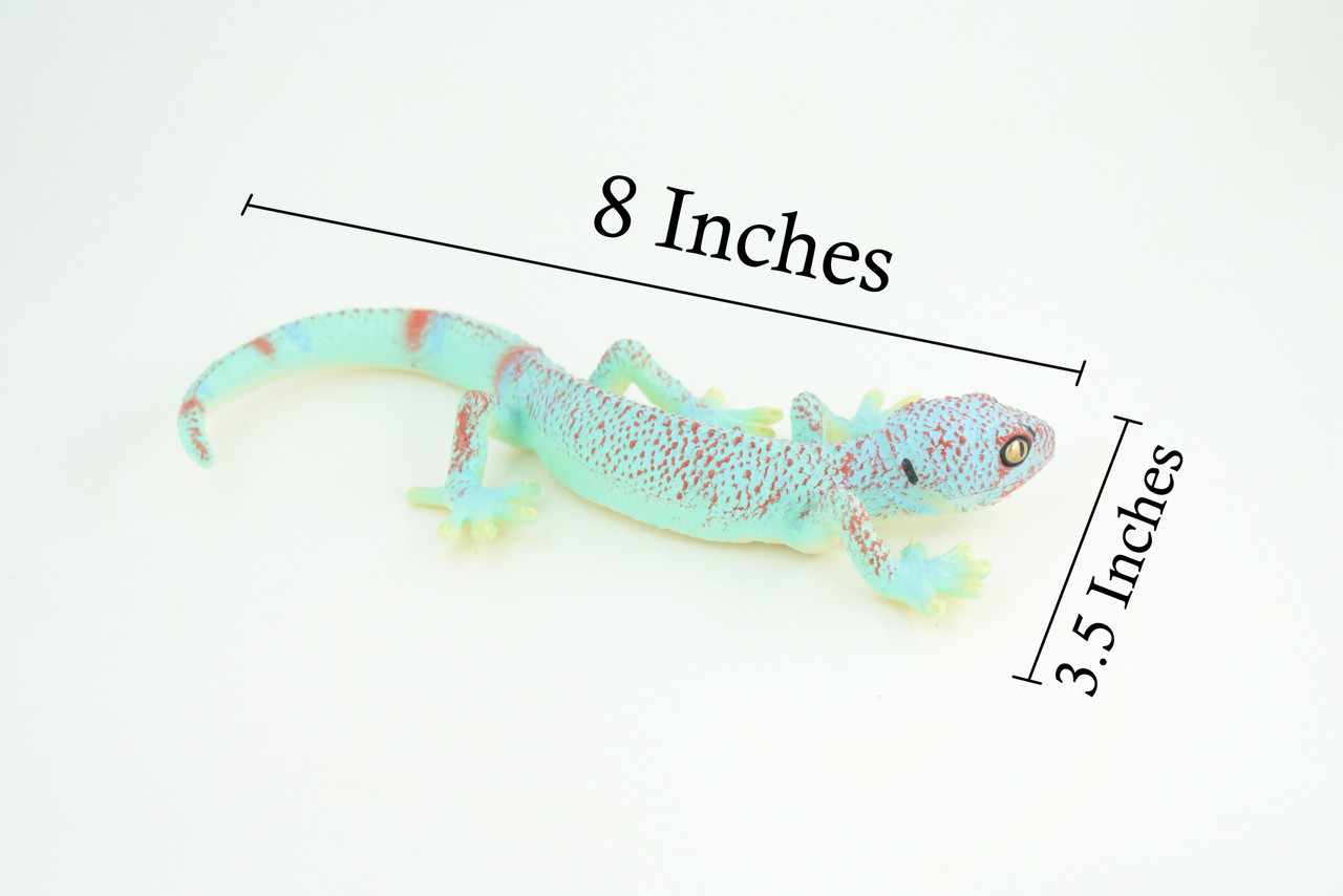 Tokay Gecko, Museum Quality, Educational, Hand Painted, Rubber Lizard, Realistic Reptile, Diorama, Toy, Kids, Gift, 8 Inches. CH780 BB182