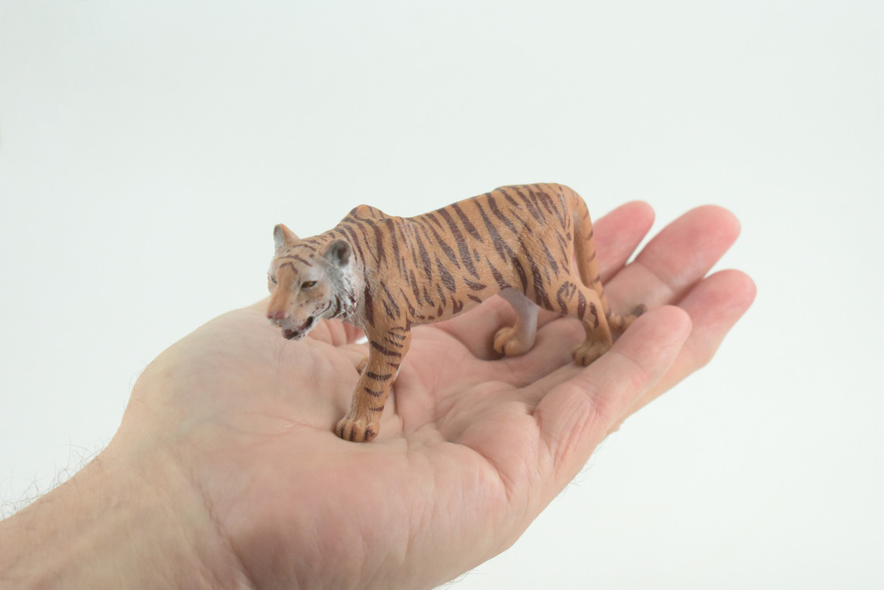 Bengal Tiger, Museum Quality, Educational, Hand Painted, Rubber, Asian Big Cat, Realistic Animal, Diorama, Toy, Kids, Gift, 4 1/2 Inches. CH781 BB182