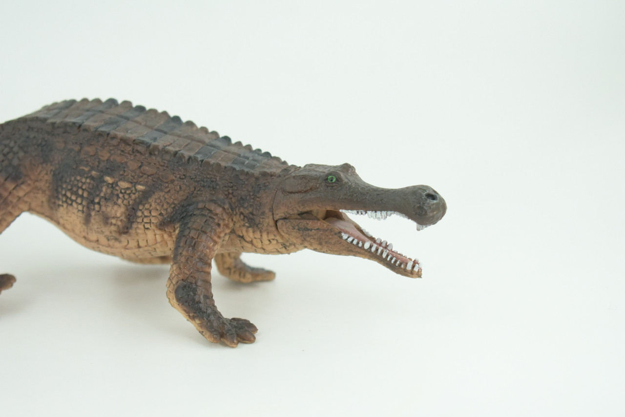 Freshwater Crocodile, Brown, Movable Jaws, Museum Quality, Educational, Hand Painted, Rubber Reptile, Realistic, Diorama, Toy, Kids, Gift, 10 Inches.  CH785 BB185