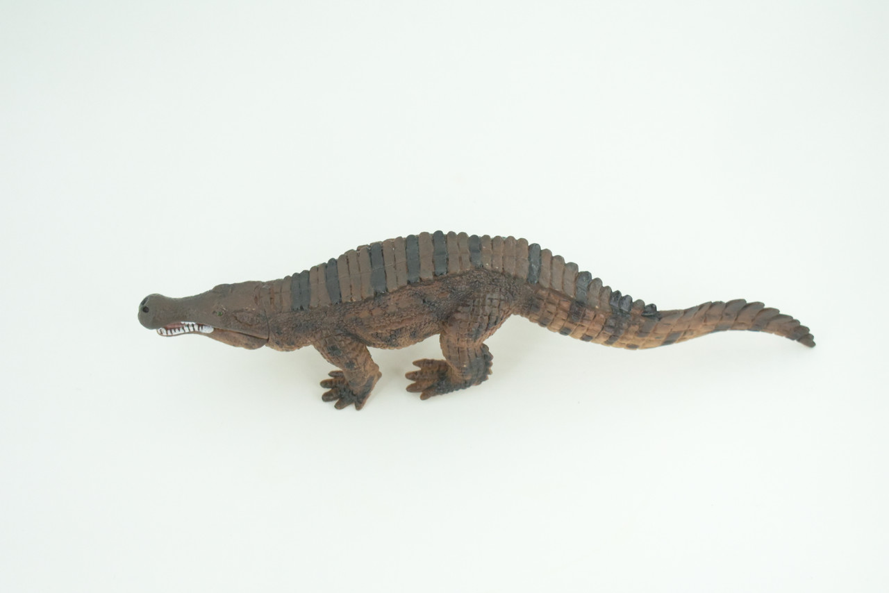 Freshwater Crocodile, Brown, Movable Jaws, Museum Quality, Educational, Hand Painted, Rubber Reptile, Realistic, Diorama, Toy, Kids, Gift, 10 Inches.  CH785 BB185
