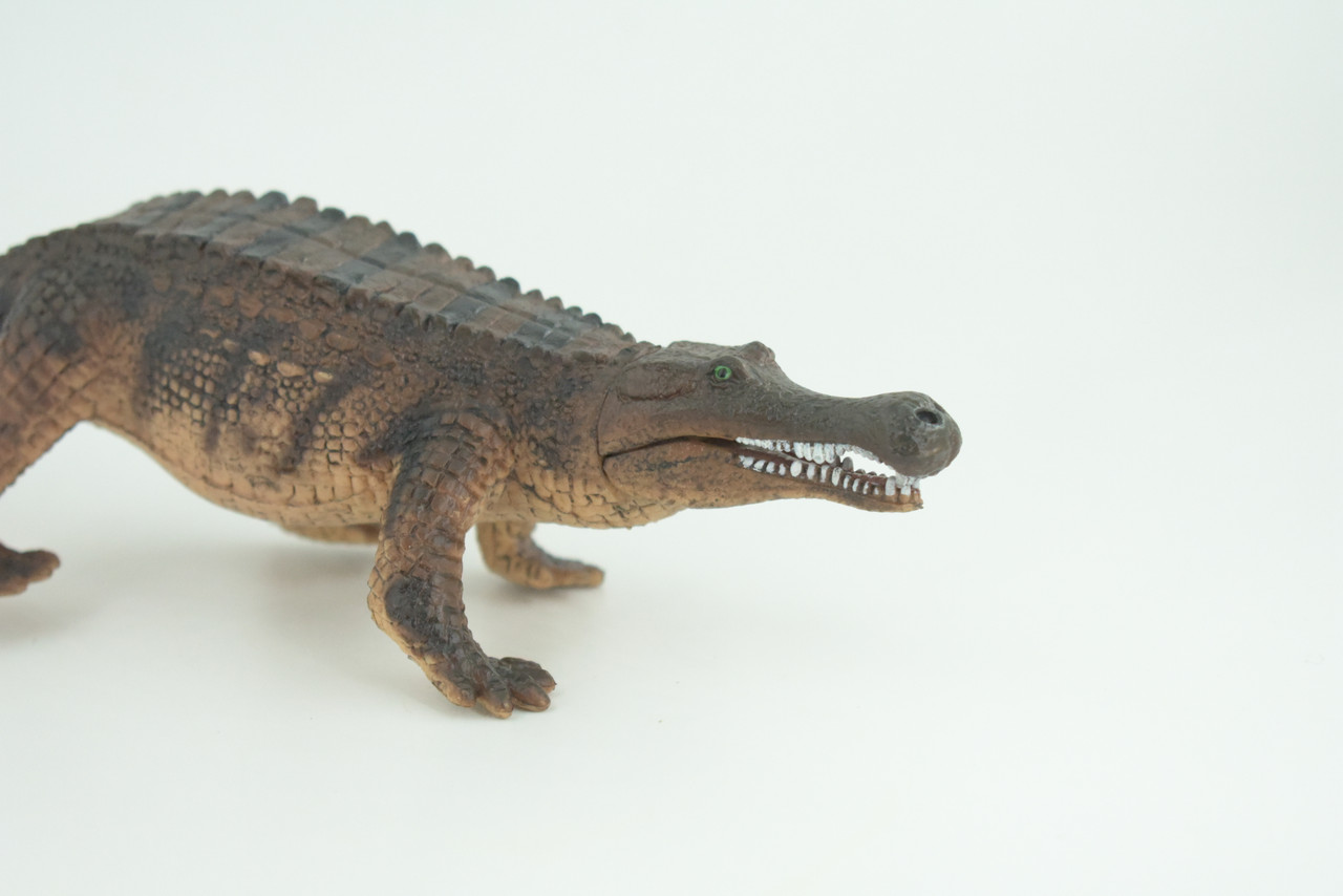 Freshwater Crocodile, Brown, Movable Jaws, Museum Quality, Educational, Hand Painted, Rubber Reptile, Realistic, Diorama, Toy, Kids, Gift, 10 Inches.  CH785 BB185