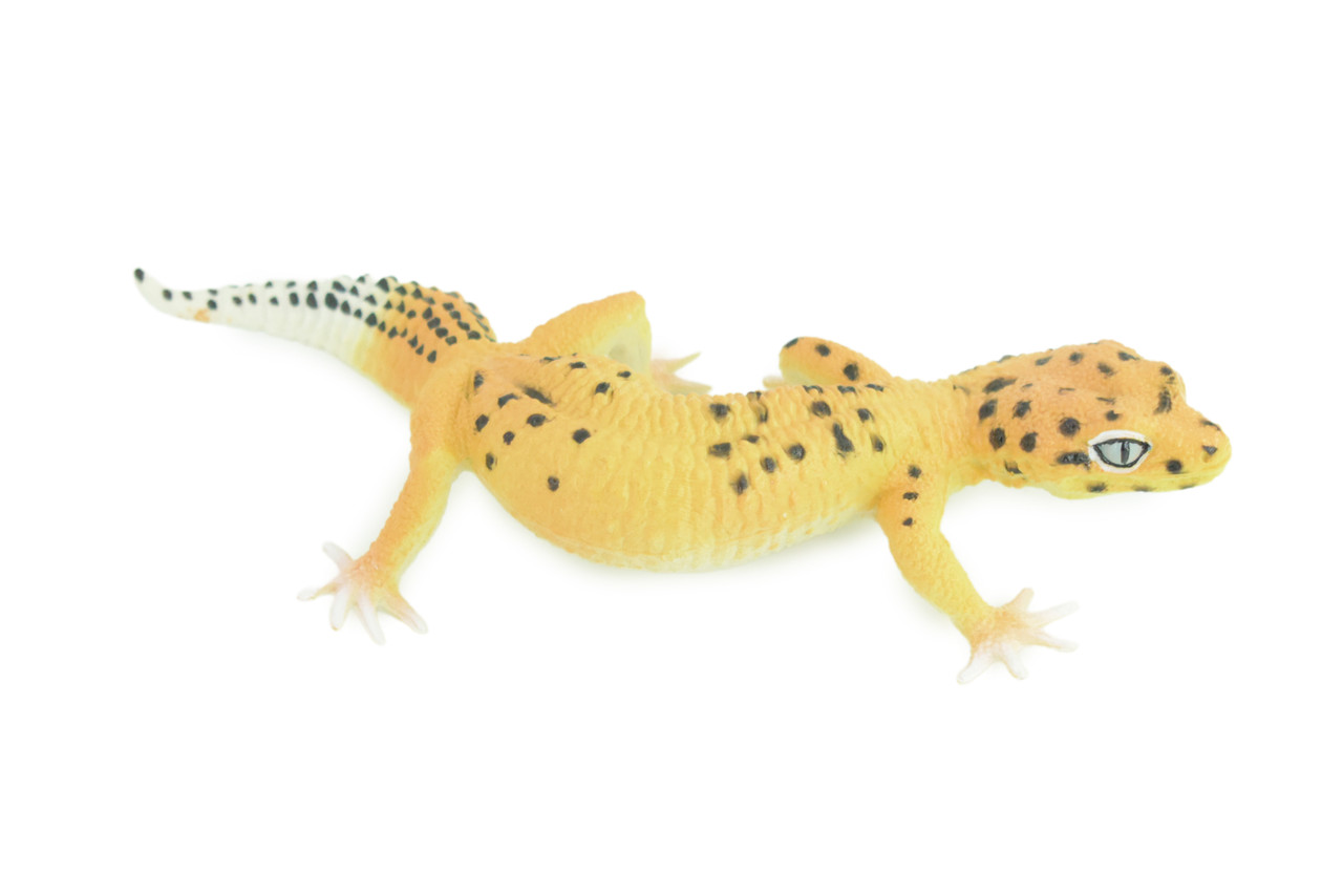 Leopard Gecko, Museum Quality, Educational, Hand Painted, Rubber Lizard, Realistic Reptile, Diorama, Toy, Kids, Gift, 7 Inches. CH786 BB185