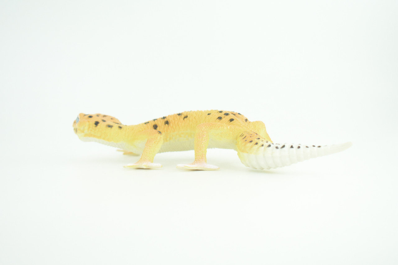 Leopard Gecko, Museum Quality, Educational, Hand Painted, Rubber Lizard, Realistic Reptile, Diorama, Toy, Kids, Gift,   7 Inches.  CH786 BB185