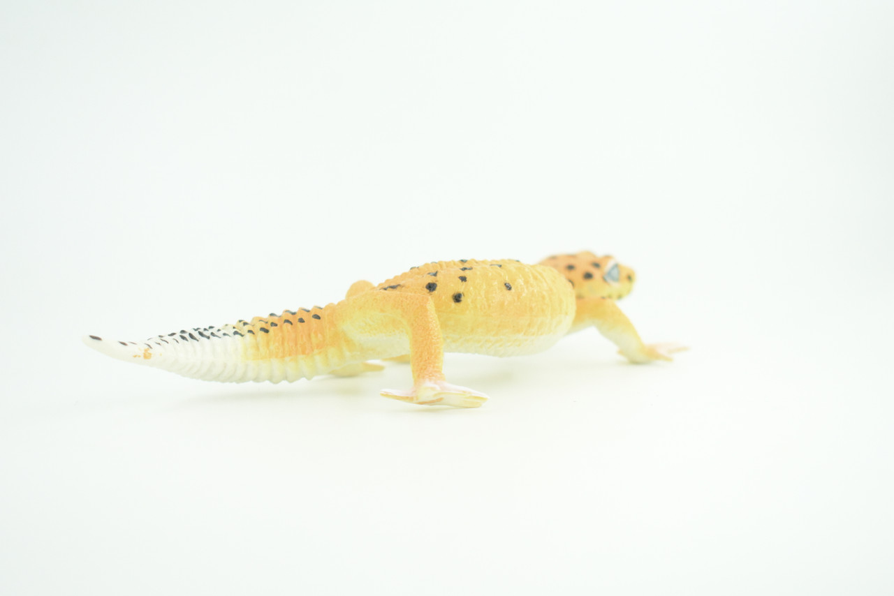 Leopard Gecko, Museum Quality, Educational, Hand Painted, Rubber Lizard, Realistic Reptile, Diorama, Toy, Kids, Gift,   7 Inches.  CH786 BB185