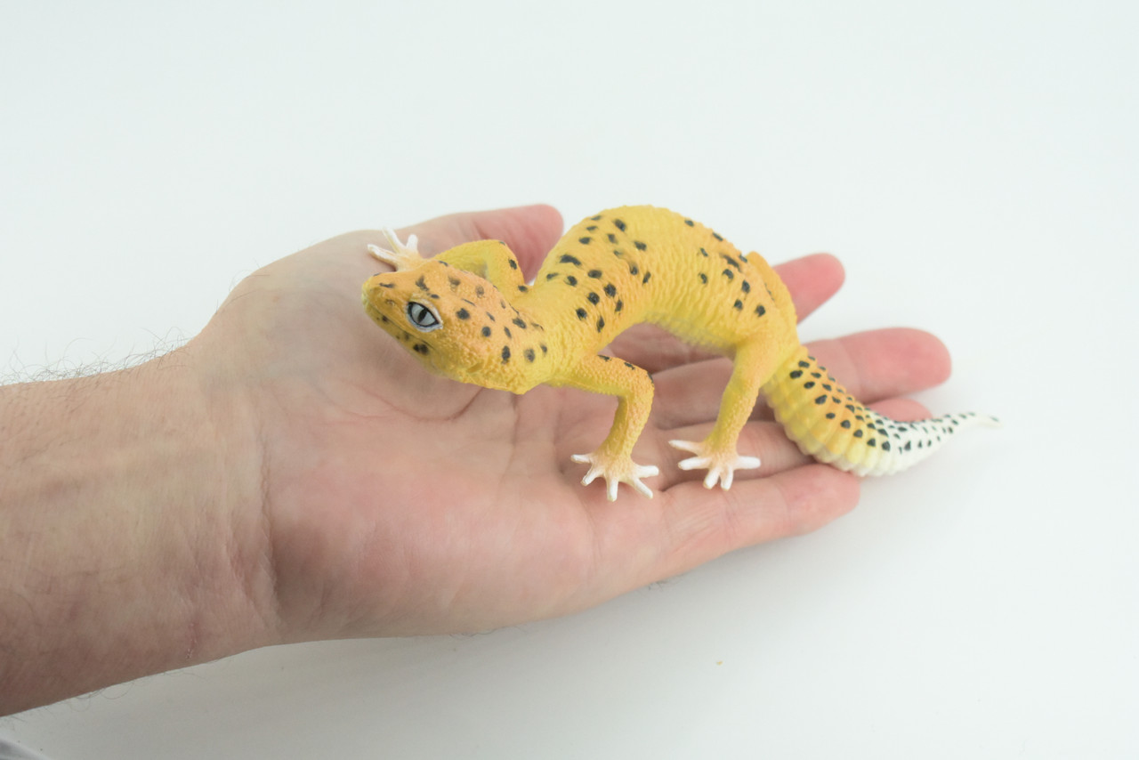 Leopard Gecko, Museum Quality, Educational, Hand Painted, Rubber Lizard, Realistic Reptile, Diorama, Toy, Kids, Gift, 7 Inches. CH786 BB185