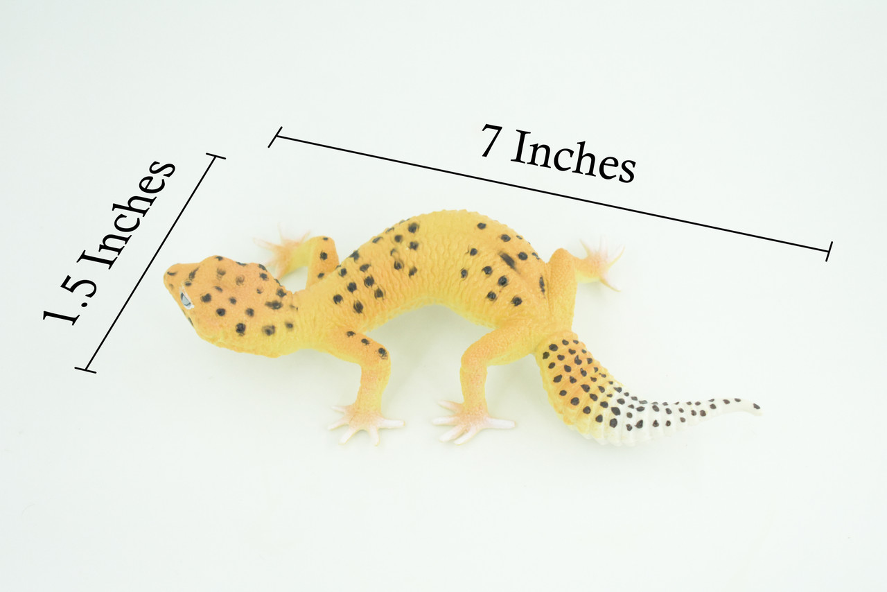 Leopard Gecko, Museum Quality, Educational, Hand Painted, Rubber Lizard, Realistic Reptile, Diorama, Toy, Kids, Gift, 7 Inches. CH786 BB185