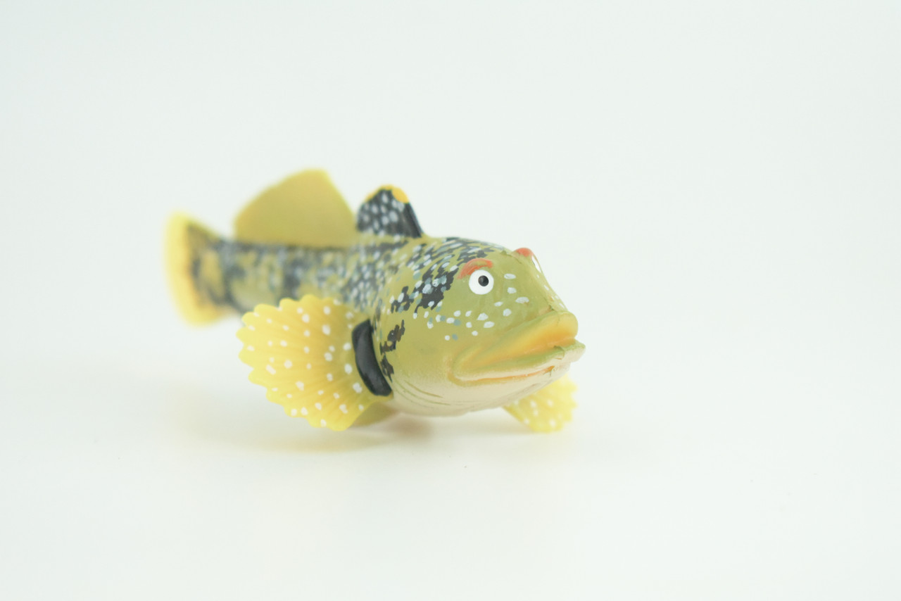 Lingcod Fish, Hand Painted, Museum Quality, Educational, Rubber Fish, Cod, Realistic, Diorama, Toy, Kids, Gift,   4 1/2 Inches.  CH787 BB185