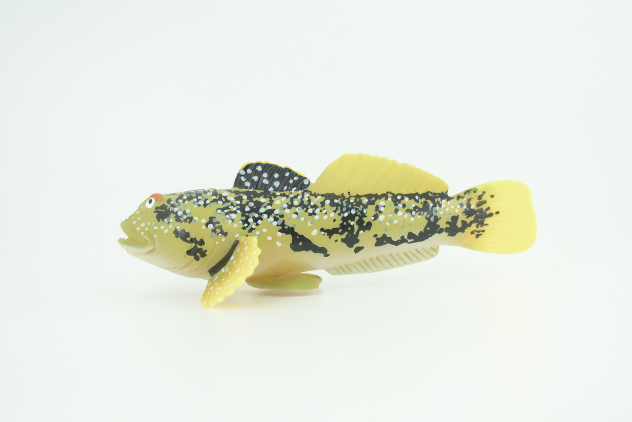 Lingcod Fish, Hand Painted, Museum Quality, Educational, Rubber Fish, Cod, Realistic, Diorama, Toy, Kids, Gift,   4 1/2 Inches.  CH787 BB185