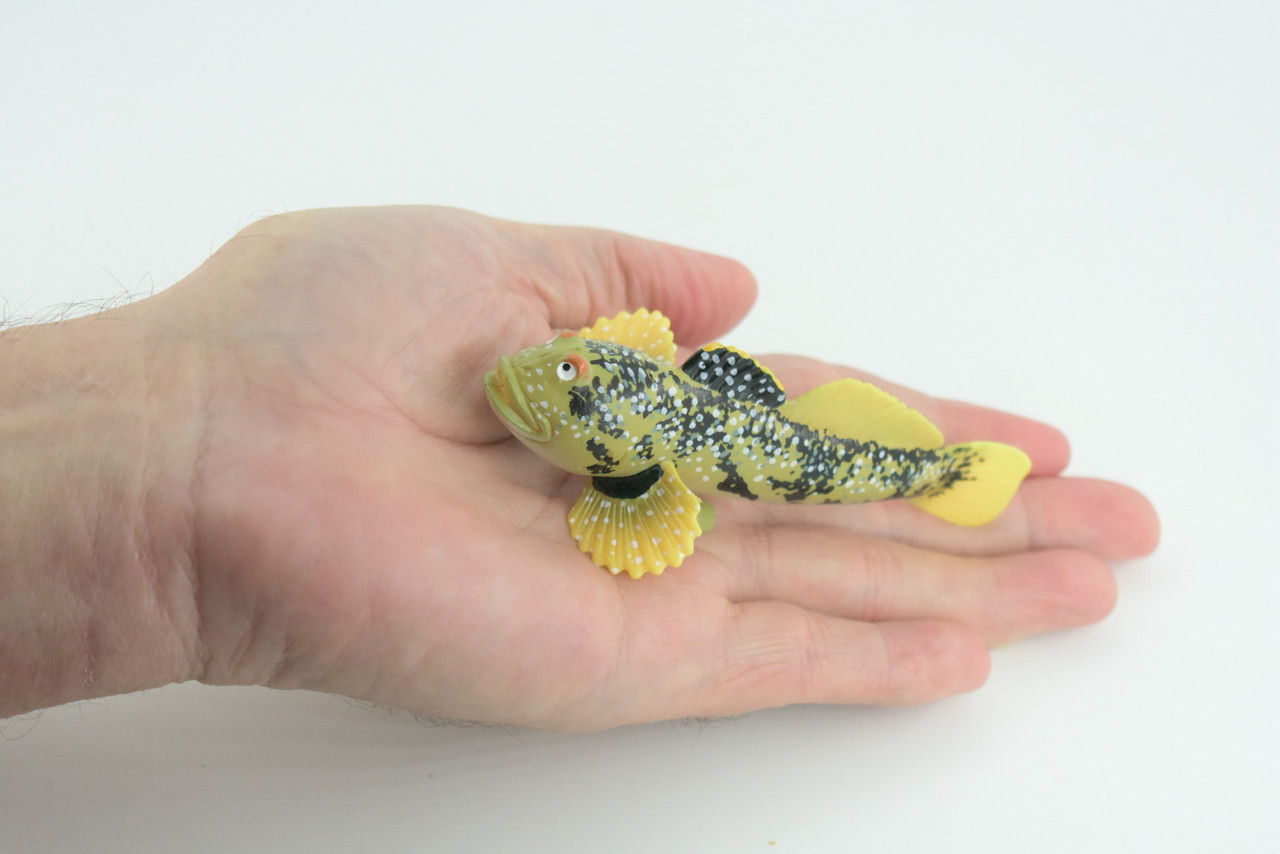 Lingcod Fish, Hand Painted, Museum Quality, Educational, Rubber Fish, Cod, Realistic, Diorama, Toy, Kids, Gift, 4 1/2 Inches. CH787 BB185