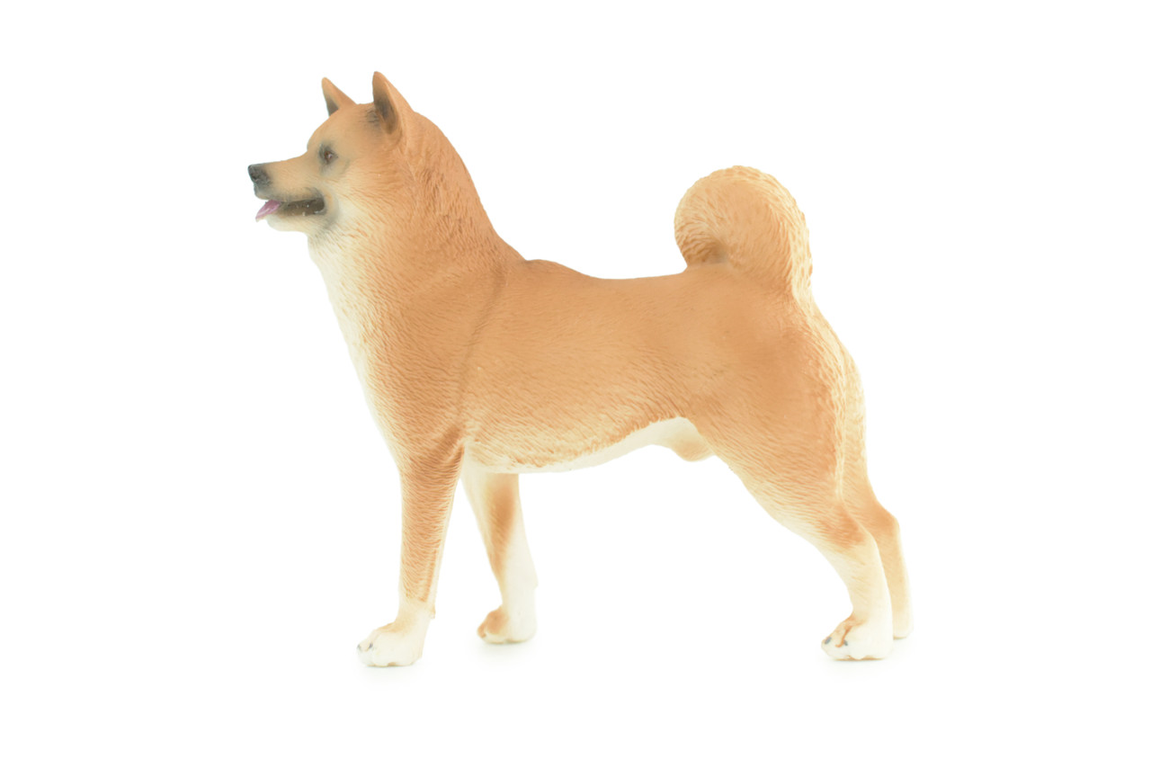 Shiba Inu Dog, Male, Museum Quality, Hand Painted, Educational, Rubber Canine, Realistic, K9, Diorama, Toys, Kids, Gift, 4 Inches. CH789 BB186