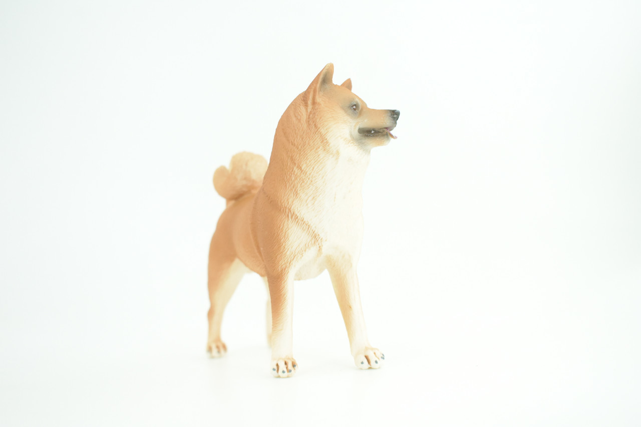 Shiba Inu Dog, Male, Museum Quality, Hand Painted, Educational, Rubber Canine, Realistic, K9, Diorama, Toys, Kids, Gift,   4 Inches.  CH789 BB186
