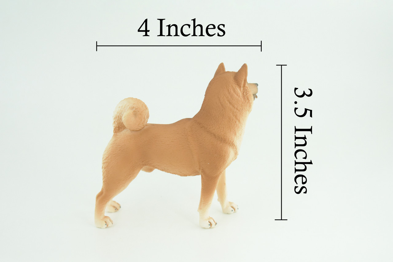 Shiba Inu Dog, Male, Museum Quality, Hand Painted, Educational, Rubber Canine, Realistic, K9, Diorama, Toys, Kids, Gift, 4 Inches. CH789 BB186